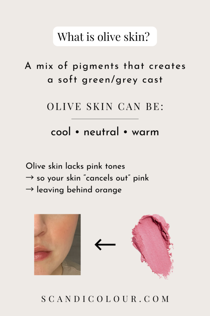 Educational graphic explaining olive skin as a mix of pigments creating a green or grey cast, with notes on cool, neutral, and warm olive undertones.